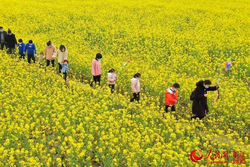 人们在花海中徜徉。