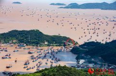 放射性粒子治疗肿瘤学术大会召开